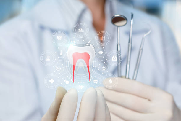 Professional Holistic Dental Care Services in Freeland, WA